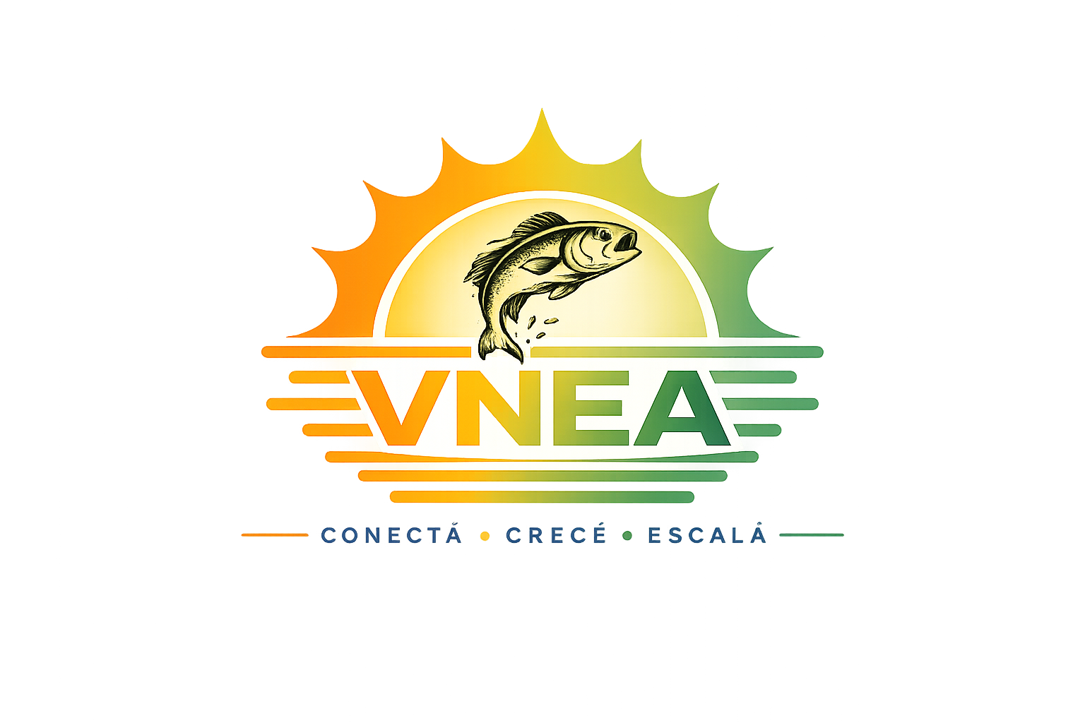 VisualNEA - Plataforma para mostrar servicios y productos del NEA