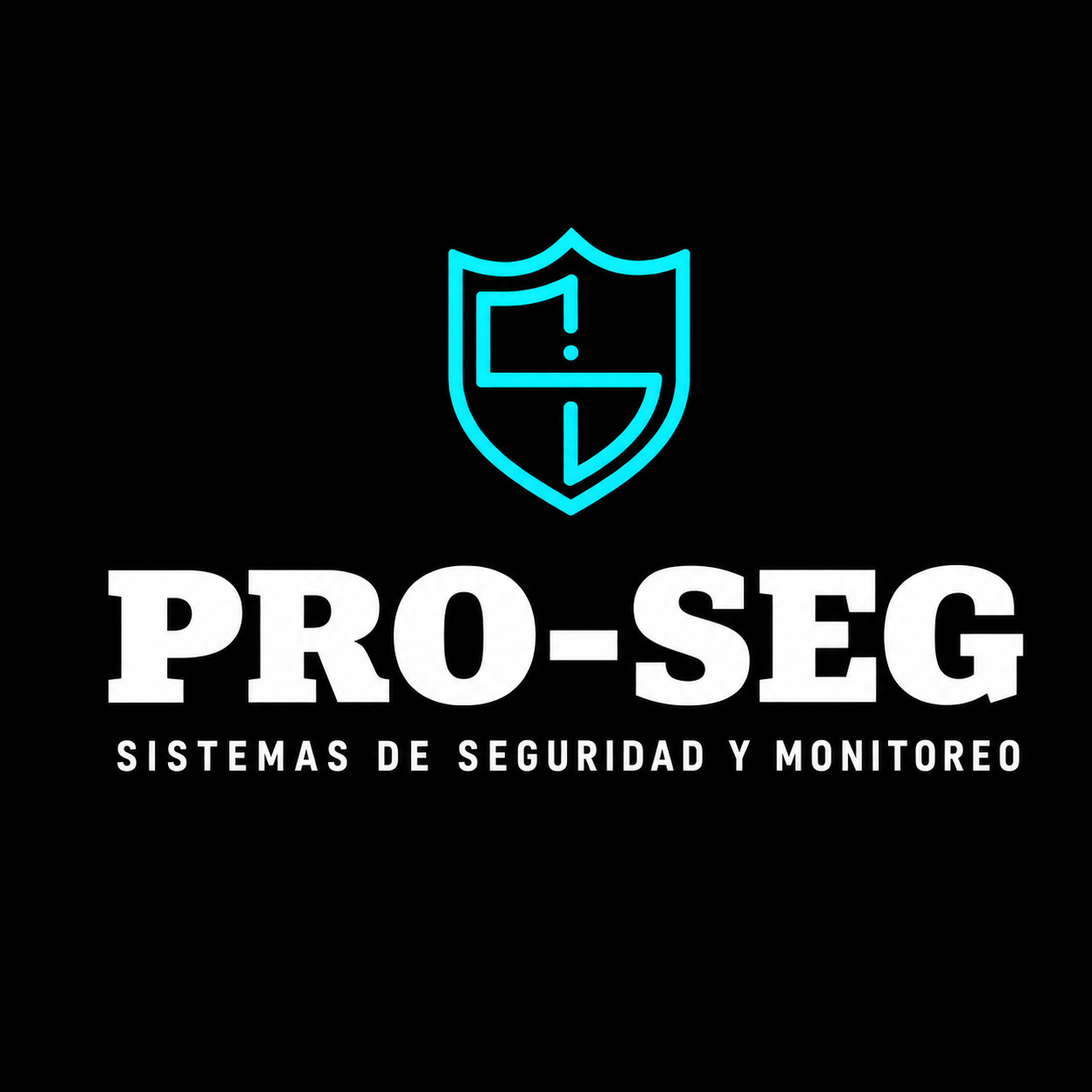 Imagen de perfil de Pro-Seg Monitoreo